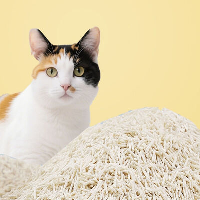 Buen precio Fermos y fáciles de recoger, con un mínimo de polvo, instalación de producción profesional de tofu, basura para gatos En línea