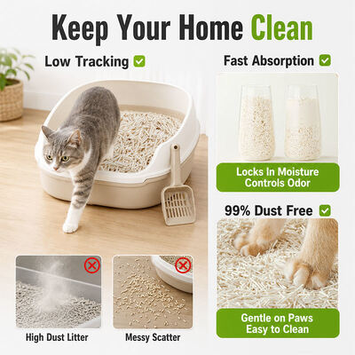 Buen precio Control de olores de aglomeración confiable Texturas lisas Fabricación profesional OEM Tofu Litter de gato En línea