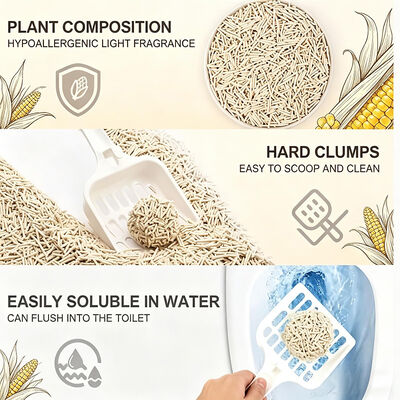 Soft Granules Rapid Water Absorption Strong Clumping Custom Branding Export Tofu Cat Litter