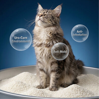 Natural Strong Clumping Fast Absorption Odor Control Low Dust Custom Packaging Cassava Cat Litter