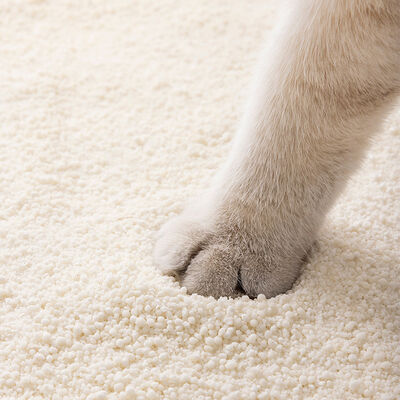 Advanced Quick Clumping High Absorption Dust Control Odor Reduction Custom Solutions Cassava Cat Litter