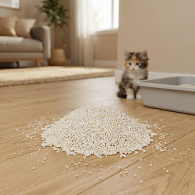 Dust-Free Fast Clumping Excellent Absorption Natural Fiber OEM/ODM Service Cassava Cat Litter