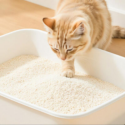 Natural Fiber Strong Clumping Fast Absorption Dust-Free Odor Control Pet Goods Cassava Cat Litter 