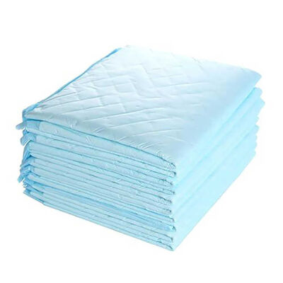 High Absorption Waterproof Odor Control Dry Surface Dog Puppy Toilet Training Pads