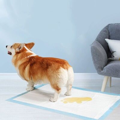 Premium Absorbent Leakproof Puppy Pads for Dog Housebreaking Indoor Toilet Training