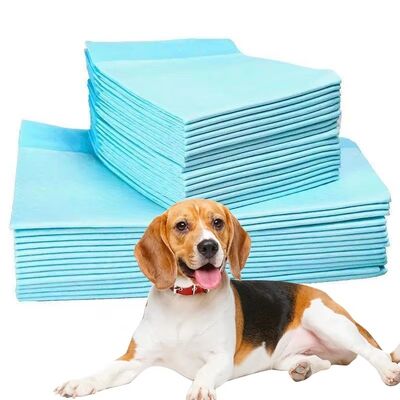 Quick Dry Pet Training Pads with Waterproof Bottom for Puppies Dogs Indoor Use