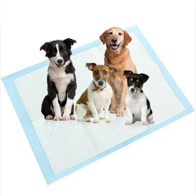 High Capacity Absorbent Disposable Dog Pads for Puppy Potty Training and Travel