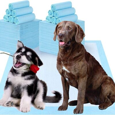 Multi Layer Leakproof Puppy Potty Pads with Fast Absorption for Dogs Pet Care