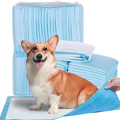 Odor Absorbing Waterproof Dog Toilet Training Pads for Puppies Indoor Household Use