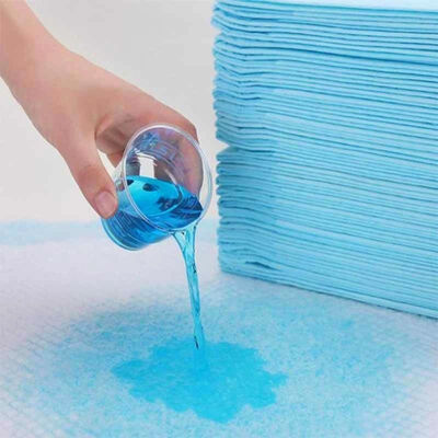 Quick Absorption Dry Surface Puppy Training Pads for Dogs Cats Indoor Pet Care