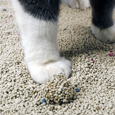 High Quality Sodium Bentonite Fast Absorbing Firm Clumping Pet Cat Litter