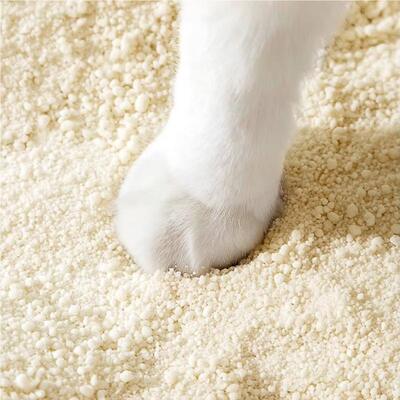 Premium Plant Based Dust Free High Absorption Custom Packaging Cassava Cat Litter